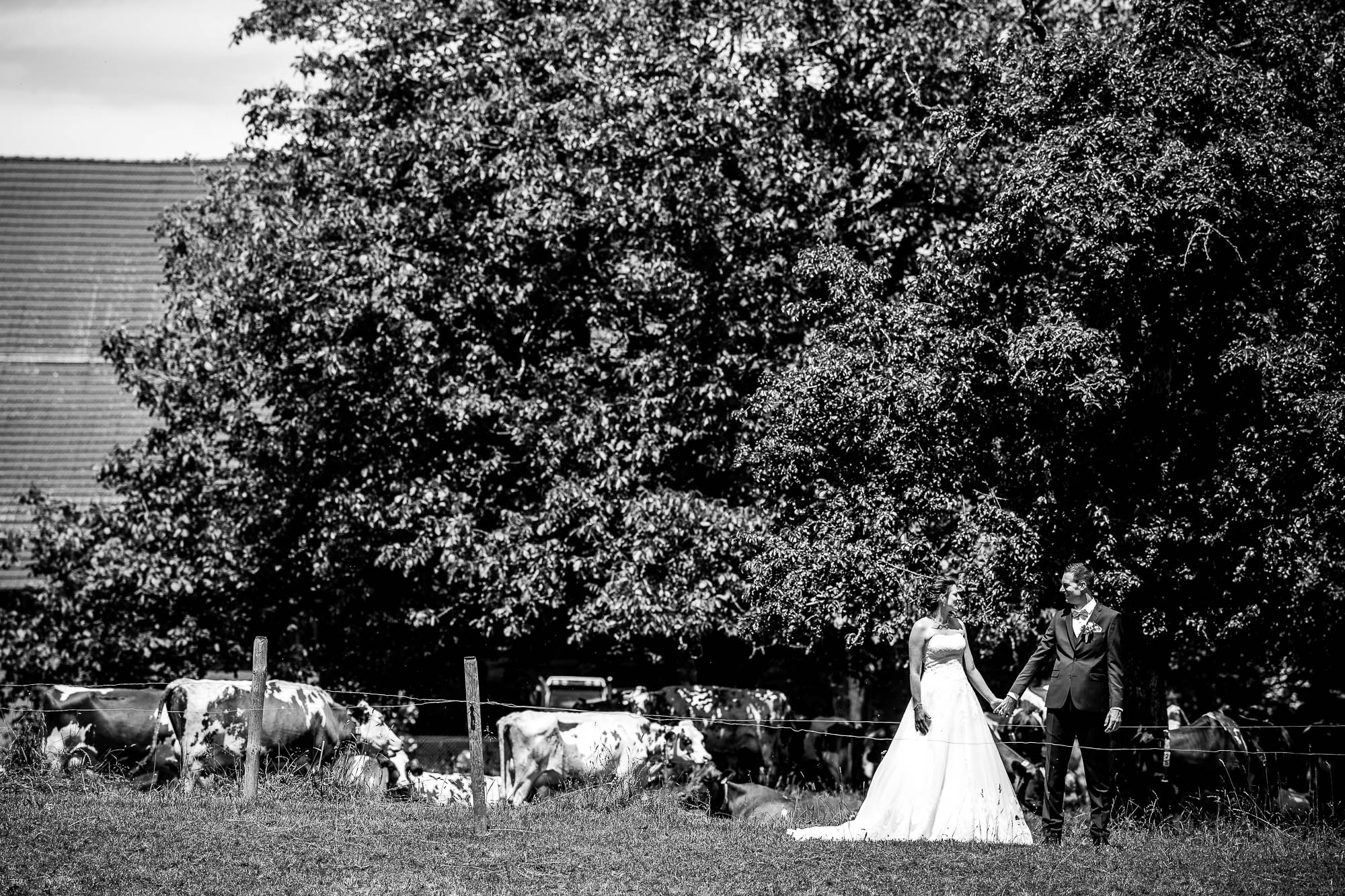 Export x3 1DX27507 Hochzeit 2020 Claudia & Marco 3